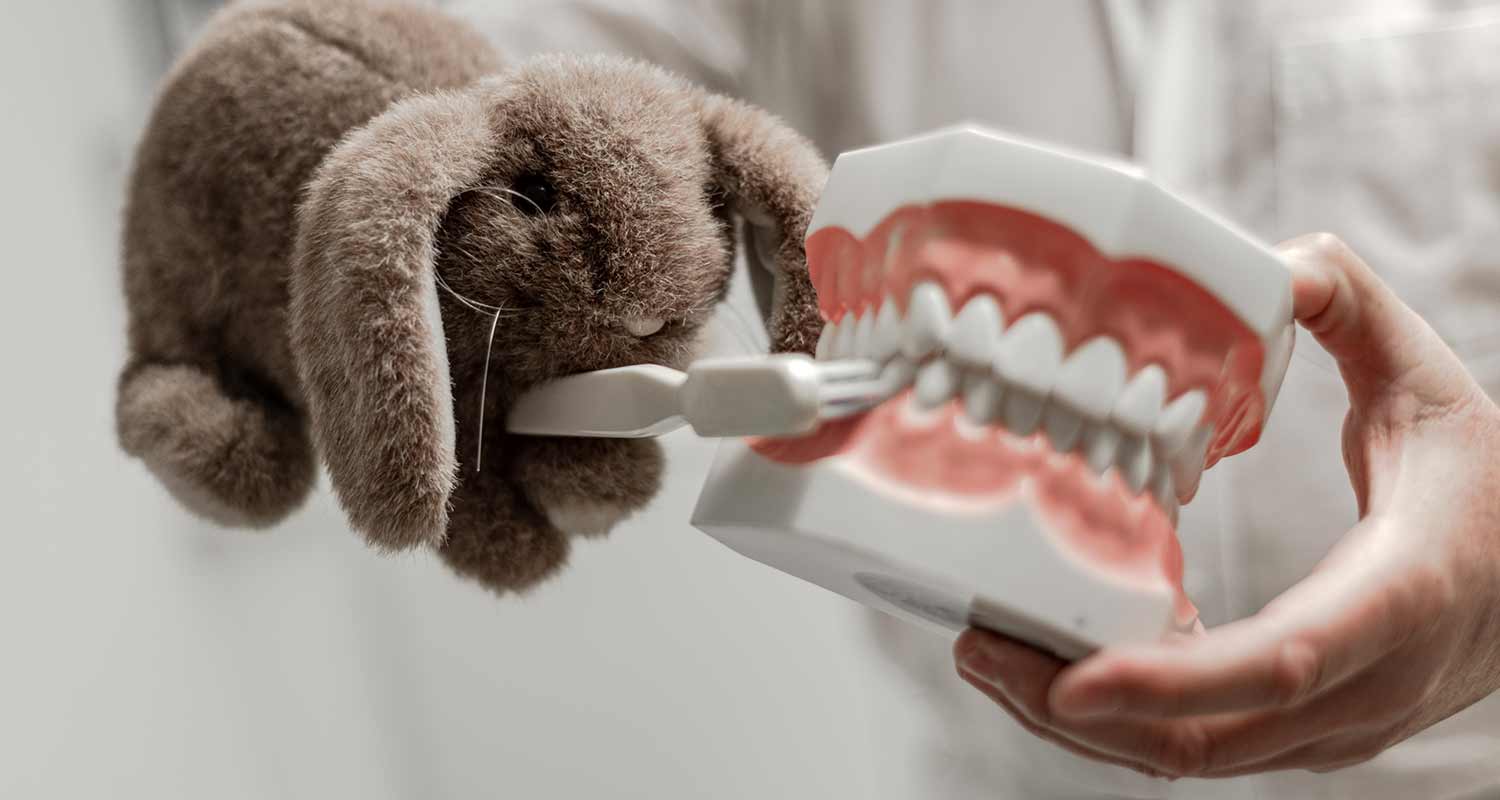Zahnarztpraxis Proll Bansin Kinderfreundlich
